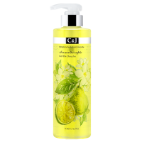 佛 手 柑 清 新 香 薰 沐 浴 露 (500ml) 佛 手 柑 清 新 香 薰 沐 浴 露 (500ml)